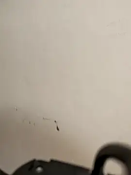 AvaLloyd online show from February 20, 2026, 6:26 am