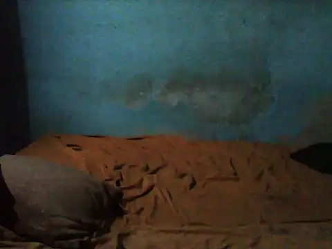 little  joy online show from November 9, 2025, 2:15 am