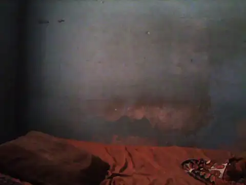 little  joy online show from November 5, 2025, 1:47 pm