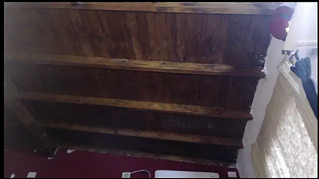 GABUSEXY online show from February 14, 2026, 9:59 pm