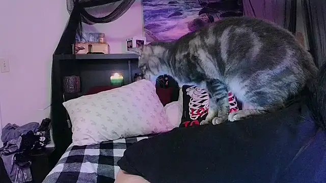 CrystalLakeXO online show from January 17, 2026, 8:07 am