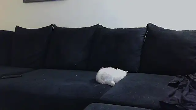 Snapshot of CrystalLakeXO chatting on October 23, 2025, 4:55 am CrystalLakeXO online show from October 23, 2025, 4:55 am