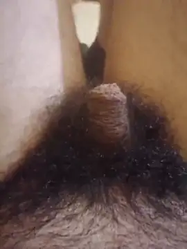 Dortmund69nn online show from February 23, 2026, 1:29 am