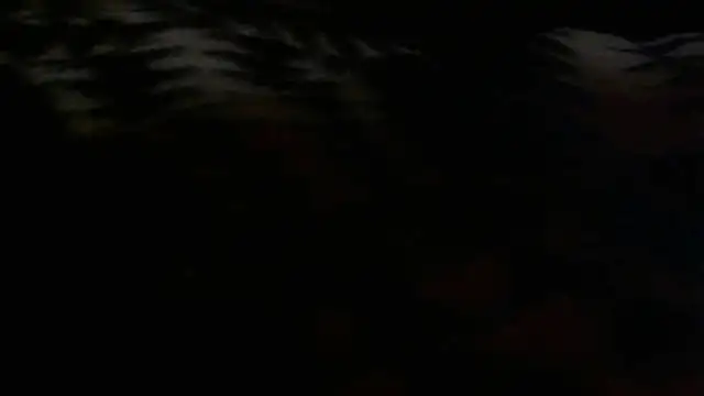 Snapshot of Jacknjimmyjohn chatting on August 2, 2026, 9:51 am Jacknjimmyjohn online show from August 2, 2026, 9:51 am