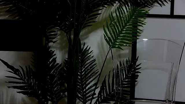 Snapshot of OnlyXandra chatting on October 24, 2025, 4:50 pm OnlyXandra online show from October 24, 2025, 4:50 pm