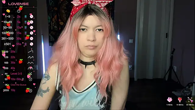 Project hisoka online show from February 20, 2026, 2:08 pm