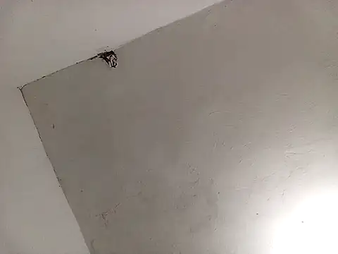 Snapshot of Surreyaa chatting on February 13, 2025, 3:39 am Surreyaa online show from February 13, 2025, 3:39 am