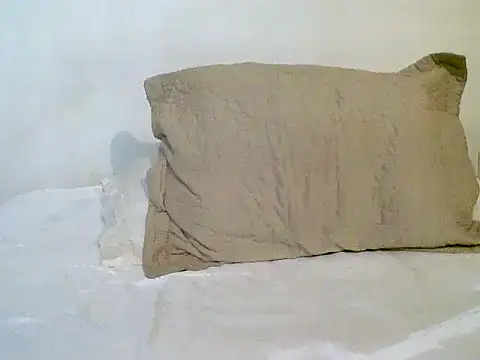 Snapshot of pollarikaaa chatting on November 1, 2025, 11:42 pm pollarikaaa online show from November 1, 2025, 11:42 pm