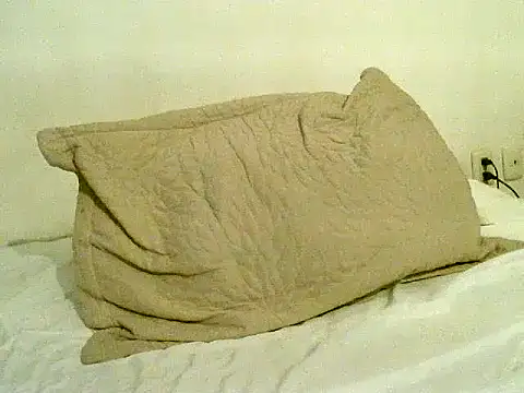 Snapshot of pollarikaaa chatting on November 6, 2025, 10:58 pm pollarikaaa online show from November 6, 2025, 10:58 pm