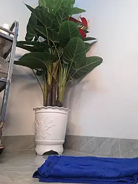 Dawn hope online show from March 24, 2026, 9:42 am