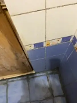 Vijaydfuhgghj online show from March 10, 2026, 6:34 pm