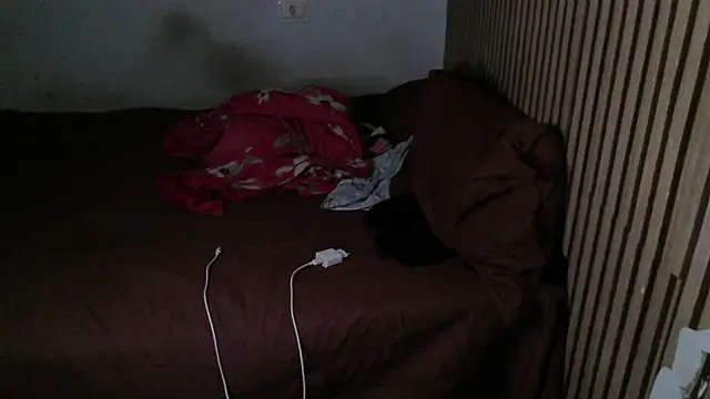 Snapshot of Dedel199 chatting on November 29, 2025, 1:33 pm Dedel199 online show from November 29, 2025, 1:33 pm