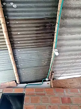 Snapshot of Janle_19c chatting on December 6, 2024, 5:06 pm Janle 19c online show from December 6, 2024, 5:06 pm