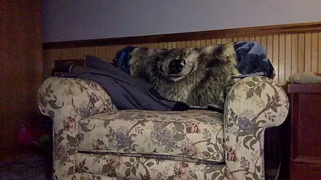 Snapshot of tongueispowerr6d9 chatting on March 3, 2026, 2:18 am tongueispowerr6d9 online show from March 3, 2026, 2:18 am