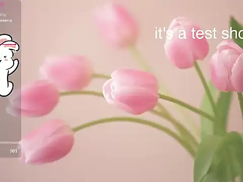 Lovensetest online show from November 11, 2025, 6:30 am