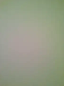 Snapshot of Lovensetest chatting on June 29, 2026, 5:58 am Lovensetest online show from June 29, 2026, 5:58 am