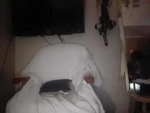 Snapshot of SpAzZ1234 chatting on March 4, 2025, 4:06 am SpAzZ1234 online show from March 4, 2025, 4:06 am