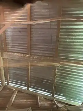 Snapshot of phola12 chatting on February 27, 2025, 7:47 pm phola12 online show from February 27, 2025, 7:47 pm