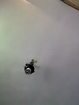 Brando2585 online show from April 3, 2026, 1:39 pm