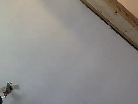 Brando2585 online show from March 7, 2026, 2:00 pm