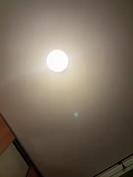 palorid online show from September 10, 2025, 10:31 pm