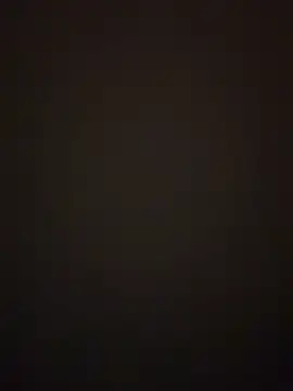 Snapshot of prettlovely14 chatting on November 5, 2025, 8:34 pm prettlovely14 online show from November 5, 2025, 8:34 pm