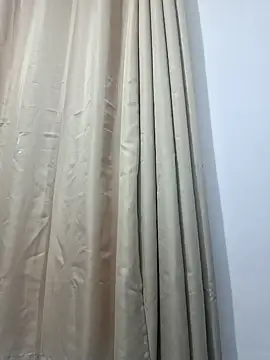 Pietro novin online show from January 29, 2025, 11:25 pm