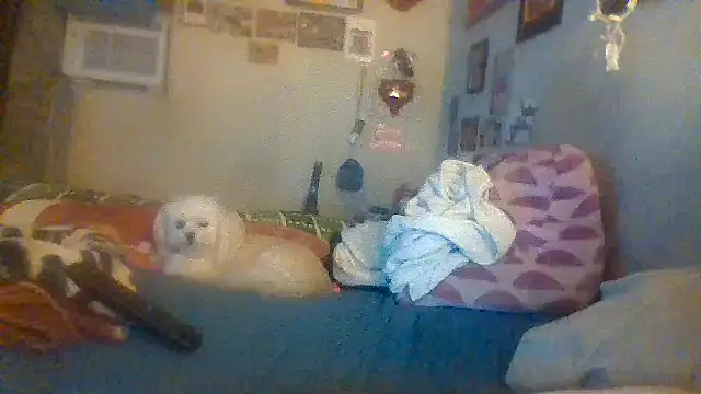 Snapshot of hornyrich69 chatting on December 22, 2024, 7:54 am hornyrich69 online show from December 22, 2024, 7:54 am