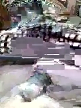 AHMED0233 online show from April 13, 2026, 12:14 am