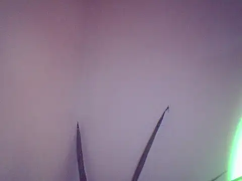 Malandralle online show from December 1, 2025, 5:47 pm