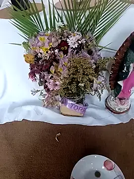 Snapshot of Afroditabichota chatting on December 20, 2025, 11:13 am Afroditabichota online show from December 20, 2025, 11:13 am