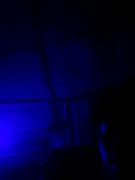 jordontheone1 online show from November 5, 2025, 9:51 pm