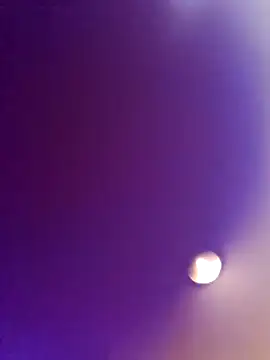 Pay2play1 online show from October 21, 2025, 2:00 am