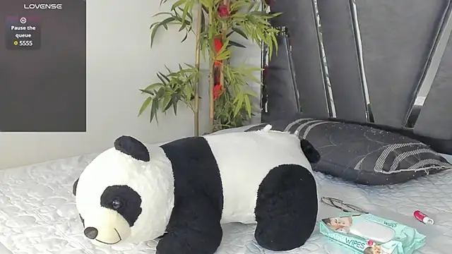 Black Rose2 online show from March 13, 2025, 11:51 am