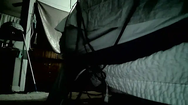 paiday online show from December 26, 2024, 7:05 pm