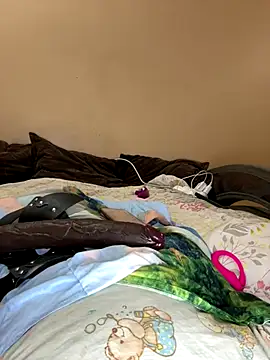 Snapshot of vika2323 chatting on November 8, 2025, 5:38 pm vika2323 online show from November 8, 2025, 5:38 pm