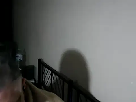 Snapshot of 100Tauros chatting on November 29, 2025, 11:27 pm 100Tauros online show from November 29, 2025, 11:27 pm