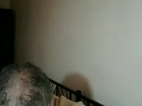 Snapshot of 100Tauros chatting on November 15, 2025, 2:43 pm 100Tauros online show from November 15, 2025, 2:43 pm