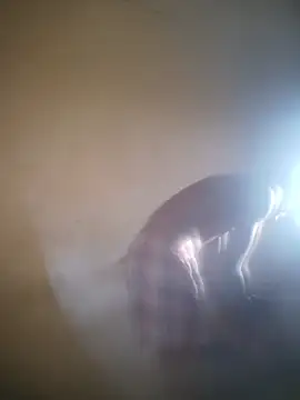 Snapshot of MkingPin chatting on April 1, 2026, 5:31 am MkingPin online show from April 1, 2026, 5:31 am