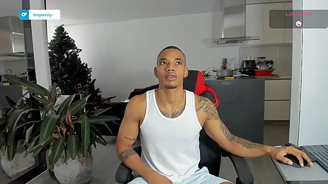 Snapshot of TROYWESLY- chatting on January 13, 2026, 5:17 pm TROYWESLY- online show from January 13, 2026, 5:17 pm