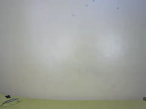 StarBarbiee online show from November 15, 2025, 10:08 am