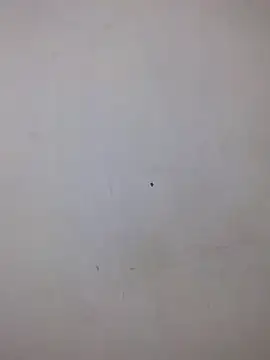 Snapshot of AmnionicDemeanor chatting on October 5, 2025, 6:53 pm AmnionicDemeanor online show from October 5, 2025, 6:53 pm