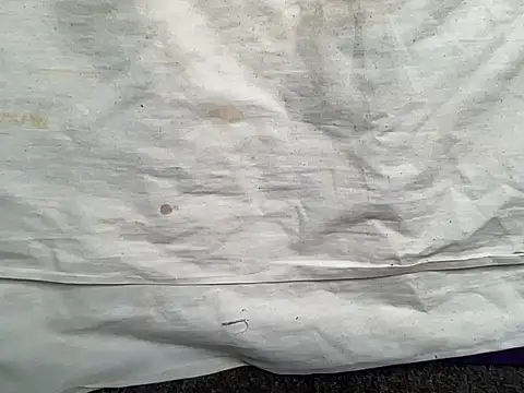 beforeyou69 online show from January 30, 2025, 1:42 pm