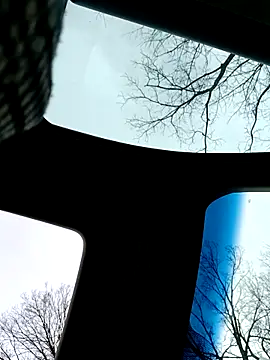 Snapshot of Alfrendino44 chatting on February 19, 2026, 8:50 pm Alfrendino44 online show from February 19, 2026, 8:50 pm