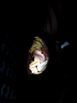 Snapshot of Policeman20742 chatting on February 25, 2025, 6:12 pm Policeman20742 online show from February 25, 2025, 6:12 pm