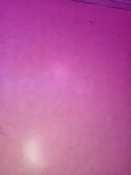 Snapshot of ---sophia--- chatting on November 21, 2025, 11:04 pm ---sophia--- online show from November 21, 2025, 11:04 pm