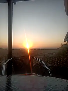 Snapshot of Freddy1962 chatting on December 9, 2024, 4:23 am Freddy1962 online show from December 9, 2024, 4:23 am