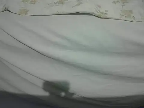 Tiger202441 online show from February 13, 2025, 11:15 pm