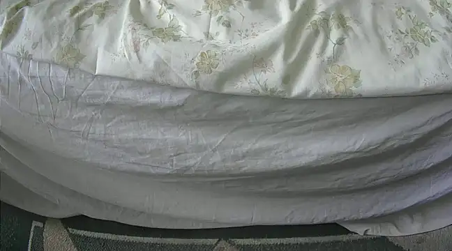 Tiger202441 online show from February 27, 2025, 10:44 am