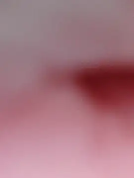 NORAMY online show from May 11, 2026, 7:22 pm